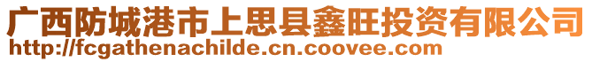 廣西防城港市上思縣鑫旺投資有限公司