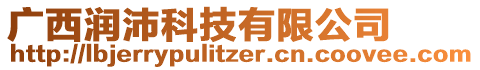 廣西潤沛科技有限公司