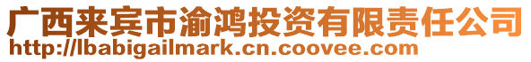 廣西來(lái)賓市渝鴻投資有限責(zé)任公司