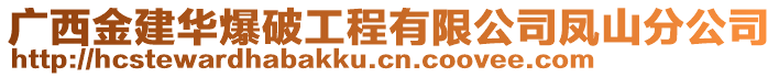 广西金建华爆破工程有限公司凤山分公司