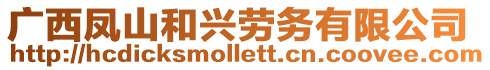 廣西鳳山和興勞務(wù)有限公司