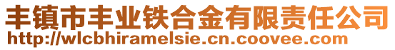 豐鎮(zhèn)市豐業(yè)鐵合金有限責任公司