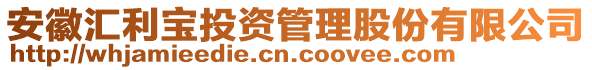 安徽汇利宝投资管理股份有限公司