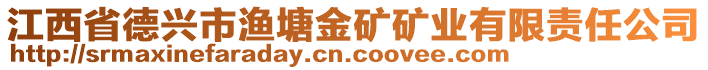 江西省德興市漁塘金礦礦業(yè)有限責(zé)任公司