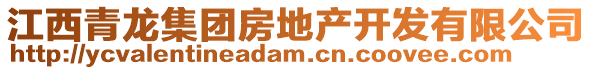 江西青龍集團(tuán)房地產(chǎn)開發(fā)有限公司