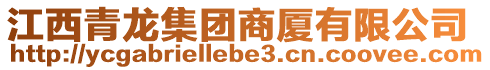 江西青龍集團商廈有限公司