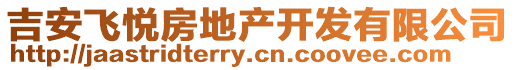 吉安飞悦房地产开发有限公司