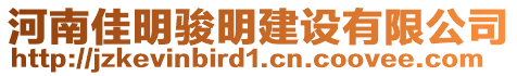 河南佳明駿明建設(shè)有限公司