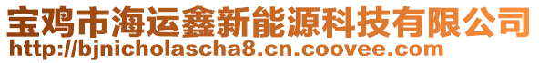 寶雞市海運(yùn)鑫新能源科技有限公司