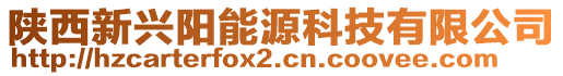 陜西新興陽能源科技有限公司