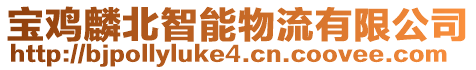 宝鸡麟北智能物流有限公司