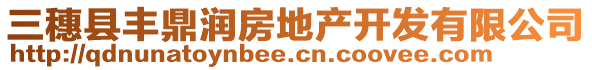 三穗縣豐鼎潤(rùn)房地產(chǎn)開發(fā)有限公司