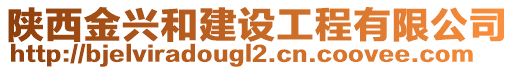 陜西金興和建設(shè)工程有限公司