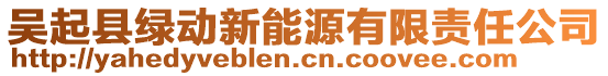 吴起县绿动新能源有限责任公司