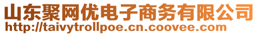 山東聚網(wǎng)優(yōu)電子商務(wù)有限公司