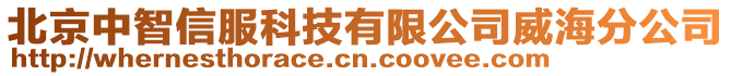 北京中智信服科技有限公司威海分公司