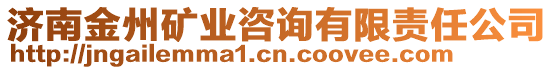 濟(jì)南金州礦業(yè)咨詢有限責(zé)任公司