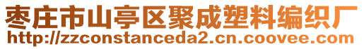 棗莊市山亭區(qū)聚成塑料編織廠