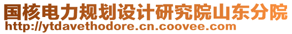 国核电力规划设计研究院山东分院