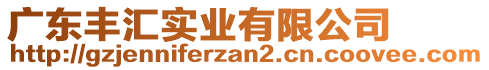 廣東豐匯實業(yè)有限公司