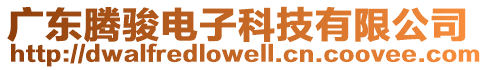 廣東騰駿電子科技有限公司