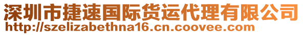 深圳市捷速國(guó)際貨運(yùn)代理有限公司