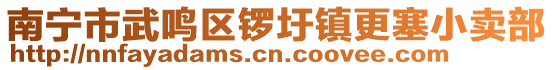 南寧市武鳴區(qū)鑼圩鎮(zhèn)更塞小賣部