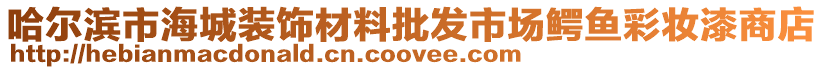 哈爾濱市海城裝飾材料批發(fā)市場鱷魚彩妝漆商店