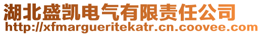 湖北盛凯电气有限责任公司