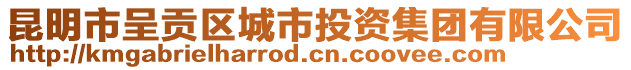 昆明市呈貢區(qū)城市投資集團有限公司