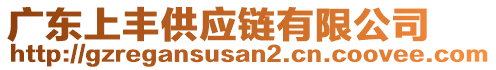 廣東上豐供應(yīng)鏈有限公司