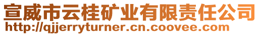 宣威市云桂礦業(yè)有限責(zé)任公司