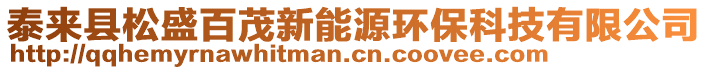 泰来县松盛百茂新能源环保科技有限公司