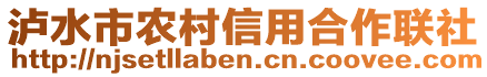 泸水市农村信用合作联社