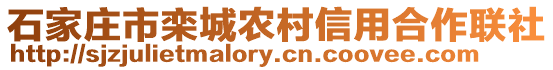 石家莊市欒城農(nóng)村信用合作聯(lián)社