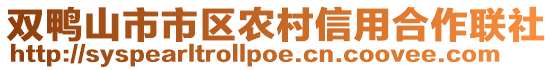 雙鴨山市市區(qū)農(nóng)村信用合作聯(lián)社