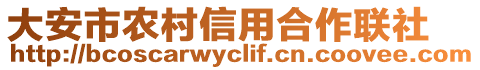 大安市農(nóng)村信用合作聯(lián)社