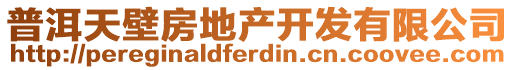 普洱天壁房地產(chǎn)開發(fā)有限公司