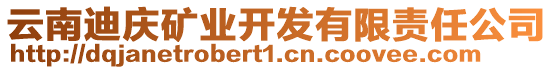 云南迪慶礦業(yè)開(kāi)發(fā)有限責(zé)任公司