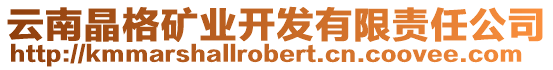 云南晶格礦業(yè)開發(fā)有限責(zé)任公司