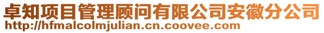 卓知项目管理顾问有限公司安徽分公司