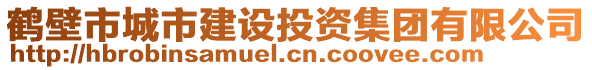 鹤壁市城市建设投资集团有限公司