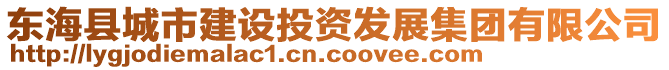 東?？h城市建設投資發(fā)展集團有限公司