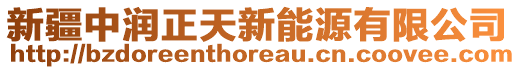 新疆中潤正天新能源有限公司