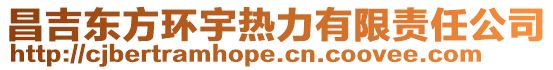 昌吉東方環(huán)宇熱力有限責(zé)任公司