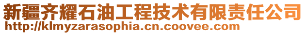 新疆齐耀石油工程技术有限责任公司