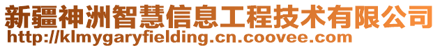 新疆神洲智慧信息工程技术有限公司