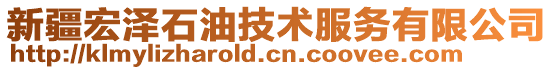 新疆宏澤石油技術(shù)服務(wù)有限公司