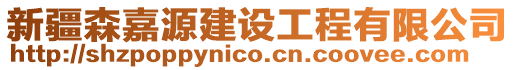 新疆森嘉源建設工程有限公司