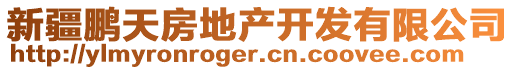 新疆鵬天房地產(chǎn)開發(fā)有限公司